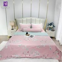 Bộ Chăn Ga Cotton Lụa Satin Easy Care CLE2429