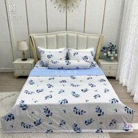Bộ Chăn Ga Cotton Lụa Satin Easy Care CLE2423