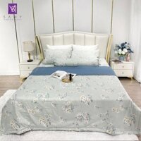 Bộ Chăn Ga Cotton Lụa Satin Easy Care CLE2425
