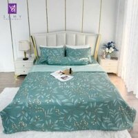 Bộ Chăn Ga Cotton Lụa Satin Easy Care CLE2426