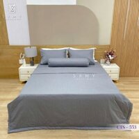 Bộ Chăn Ga Cotton Lụa Satin Easy Care CTS553