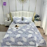 Bộ Chăn Ga Cotton Lụa Satin Easy Care CLE2430