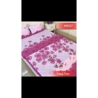 Bộ chăn ga gố đệm sét 5 món chất cotton poly Hàn Quốc