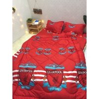 Bộ Chăn Ga Gối CLB Bóng Đá Liverpool Chần Bông - 2020 ( Ưu Đãi Quà Tặng )