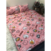 Bộ chăn ga gối cotton 5 món có đủ mọi kích thước drap giường từ 1m2 đến 1m8 miễn phí bo chun