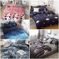 Bộ chăn ga gối đệm cotton nhập khẩu Poly