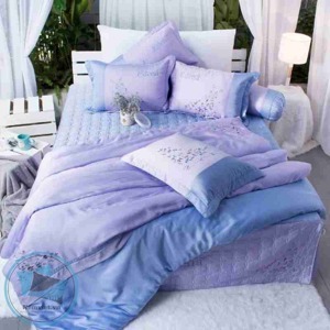 Bộ chăn ga gối Edena Tencel ED738