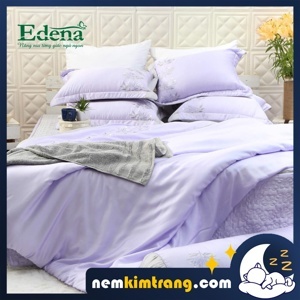 Bộ chăn ga gối Edena Tencel ED742