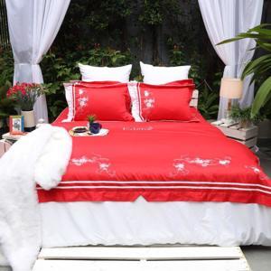 Bộ chăn ga gối Edena Tencel ED748