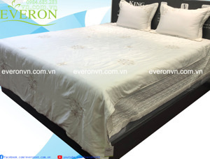 Bộ chăn ga gối Everon EST-21034