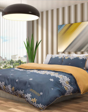 Bộ chăn ga gối Hanvico My Youth MY17