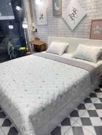 Bộ chăn ga gối Lụa Modal Hàn Quốc chim nền be
