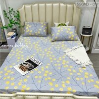 Bộ Chăn Ga Gối Lụa Modal Nhật 3 món Ga Trải Giường Lụa Cao Cấp Mát Mịn M2 - M6 - M8 - 2M2