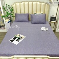 Bộ Chăn Ga Gối Lụa Modal Nhật 3 món Ga Trải Giường Lụa Cao Cấp Mát Mịn M2 - M6 - M8 - 2M2