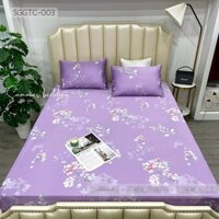 Bộ Chăn Ga Gối Lụa Tencel Nhật 3 món Ga Trải Giường Lụa Cao Cấp Mát Mịn M2 - M6 - M8 - 2M2