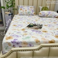 Bộ Chăn Ga Gối Lụa Tencel Nhật 3 món Ga Trải Giường Lụa Cao Cấp Mát Mịn M2 - M6 - M8 - 2M2