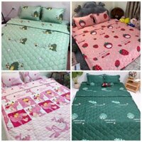 Bộ Chăn Ga Gối Mùa Hè 5 Món Poly Cotton -1M6/1M8 Họa Tiết Mẫu Mã Đa Dạng