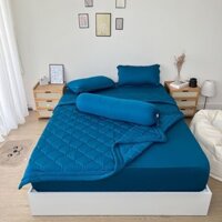 Bộ chăn ga gối REE Bedding XANH CỔ VỊT chần bông chất thun lạnh TL262 đủ size giường nệm M8