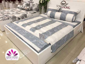 Bộ chăn ga gối Sông Hồng Elegance E19M04
