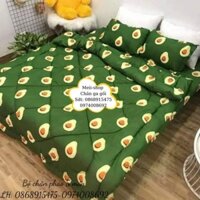 Bộ chăn ga set 5 món. Gồm 1 chăn bông trần dày ấmn+1ga trải đệm+1 vỏ gối ôm+2 vỏ gối thường