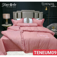 Bộ chăn ga tencel