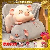 Bộ Chăn gối 2 in 1 Hình Heo Xinh Xắn