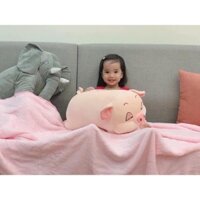 BỘ CHĂN GỐI LỢN 2 IN 1