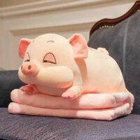 Bộ Chăn Gối Văn Phòng 2in1