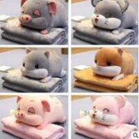 Bộ chăn gối văn phòng chuột Hamster, Heo xinh. Gấu bông đẹp