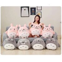 Bộ chăn gối văn phòng đa năng 3in1 hình totoro biểu cảm