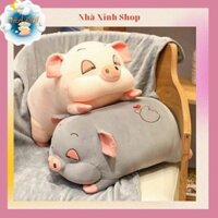 Bộ CHĂN GỐI VĂN PHÒNG heo mỡ siêu êm
