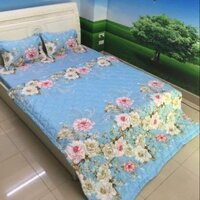 Bộ chăn hè cotton poly