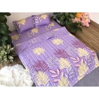 Bộ chăn hè ga gối 1m8 vải cotton poly[free ship]