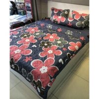 Bộ chăn hè ga gối 4 món dành cho đệm 1m4x2m vải cotton poly-mẫu hoa bèo hồng