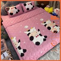 Bộ Chăn hè Ga Gối Cotton Poly Combo 5 Món - Satasy Bedding