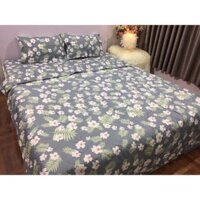 Bộ chăn hè ga gối poly (185k chọn bộ 5 món)