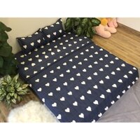 Bộ Chăn Hè Ga Gối Poly 1m5 (Dũng sài gòn mẫu BCH12)