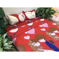 Bộ Chăn Hè Ga Gối Poly 1m6 (Dũng sài gòn mẫu BCH13)