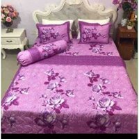 Bộ chăn hè ga gối Poly (5 món)