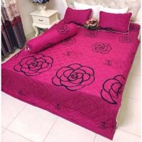 Bộ chăn hè ga gối poly (5 món)