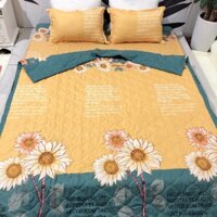 Bộ chăn hè ga gối poly