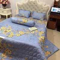 Bộ chăn hè ga gối poly