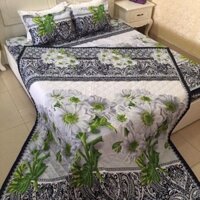 Bộ chăn hè ga gối poly