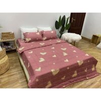 Bộ chăn hè poly 5 món