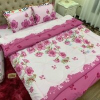 Bộ Chăn phao kèm ga gối 🌳Bộ 4 món dành cho đệm 2mx2m2🌳Cotton Poly,MẪU HOA ĐÀO