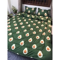 Bộ Chăn phao kèm ga gối 🌳Bộ 4 món dành cho đệm 2mx2m2🌳Cotton Poly
