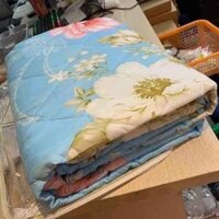 Bộ chăn trần bông