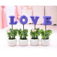 Bộ Chậu Cây Chữ LOVE