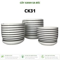 Bộ chậu men tròn sọc đen 3 kích cỡ CK31 trồng cây trang trí nội thất, ban công, văn phòng làm việc - White,Tiểu