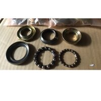 bộ chén cổ scr 110 lead 110 @stream spacy